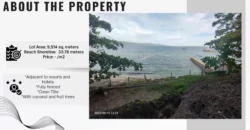 Exclusive Beachfront Property in Samal Island