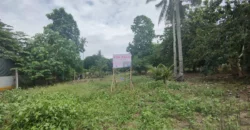 Exclusive Beachfront Property in Samal Island