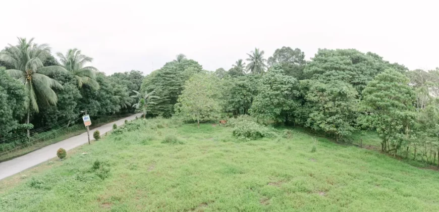 Commercial Lot Property in Koronadal South Cotabato