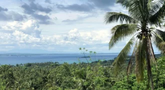 Overlooking Property with Sea View at Samal Island