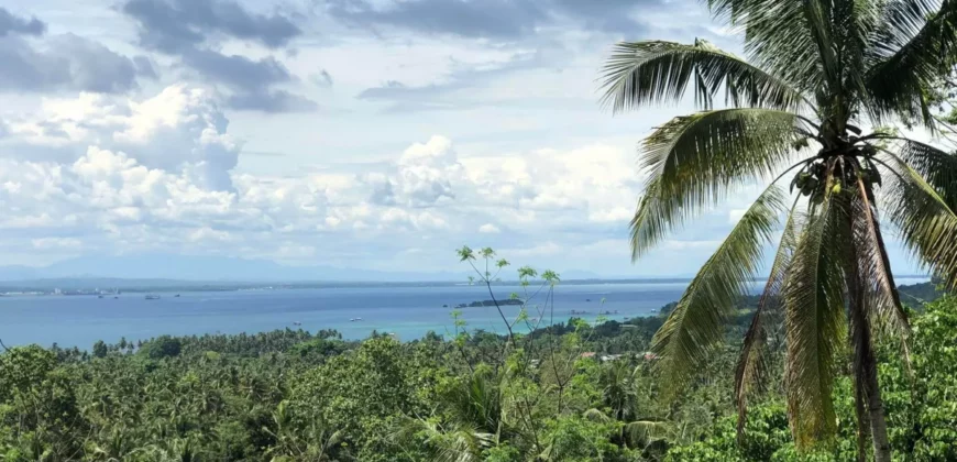 Overlooking Property with Sea View at Samal Island