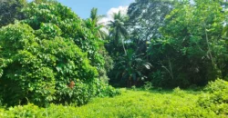 Affordable Residential Lot in Koronadal City, South Cotabato