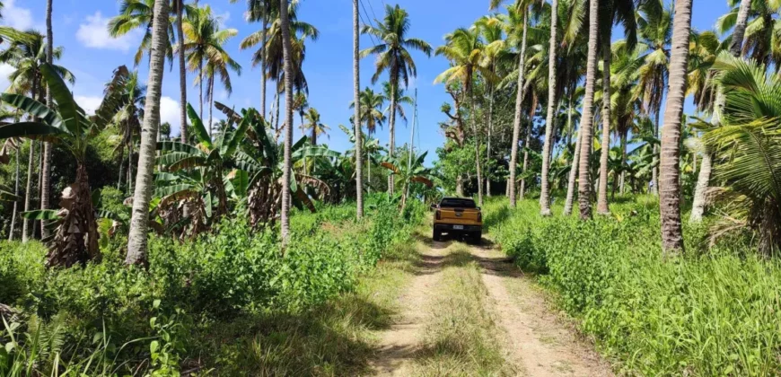 1000 Sqm. Residential or Agricultural Lot in Samal Island