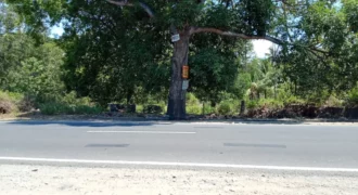 Available Commercial Lot along National Highway in Dumaguete